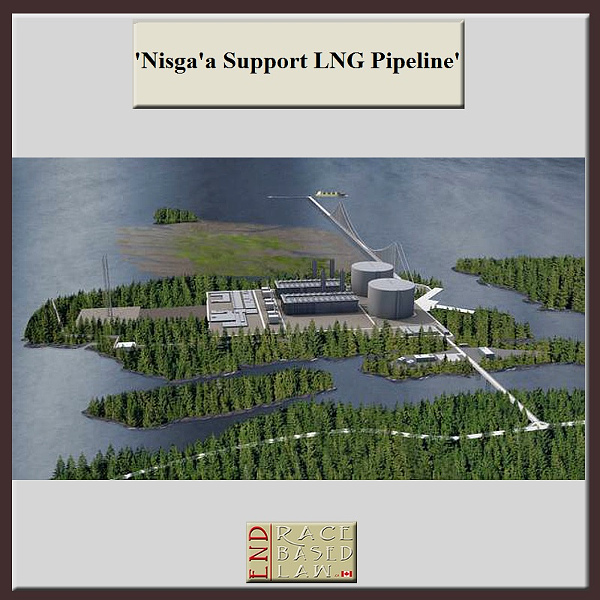 ERBLNisgaaSupportLNGPipeline600x600