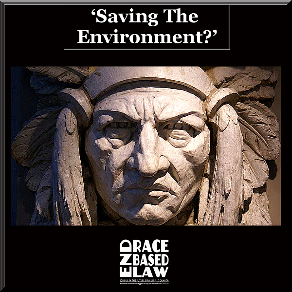 ERBLSavingTheEnvironmen600x600